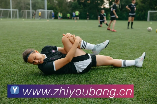 milan登录入口平台生态图