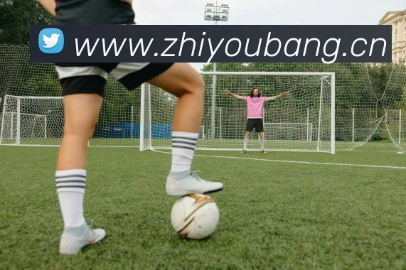 milan登录入口APP 封面图